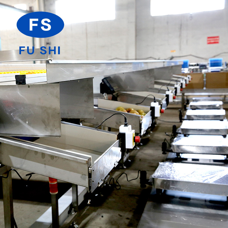 厂家供应现货FGX-DZS型双线电子水果分选线机水果分选机分拣机