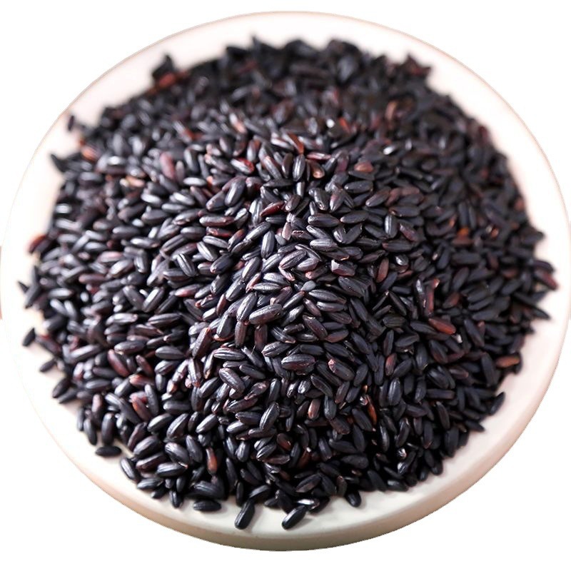 С�� ʮ����  ����1����һ�� ����ר����������������������