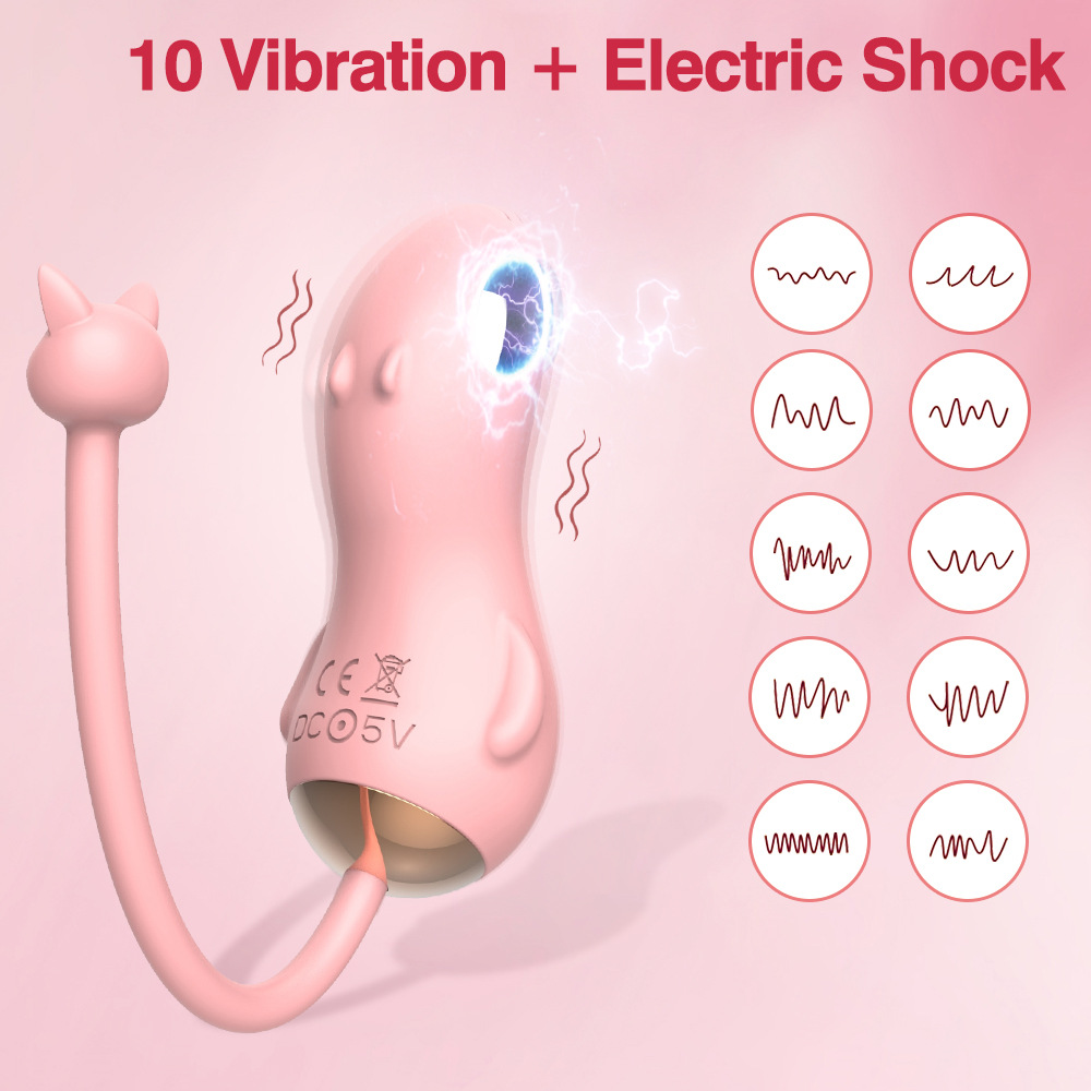 Wireless Remote Control Vibrator For Women With Shock Functions_voghion.com