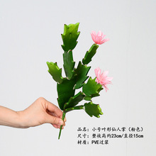 ���控���������~�������ƙ��������쾰ɳĮϵ�ж���ֲ���҃��b�