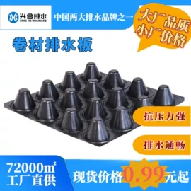 排水板;工地施工材料;网格板