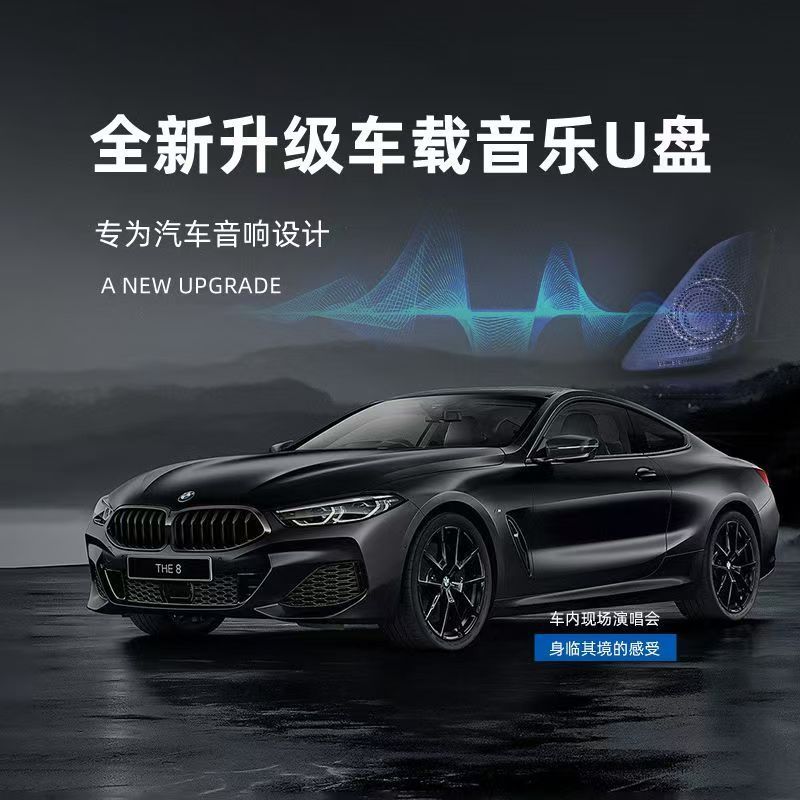 車載ロスレスUディスクtypecインターフェース高品質高品質特別に調整されたベルリンサウンドオーディオ専用車載Uディスク|undefined