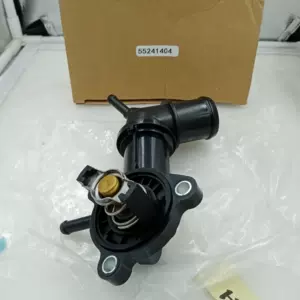 55242072 Thermostat