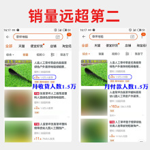 人造人工草坪草皮假草绿色户外装饰地毯绿植塑料垫子工程围挡