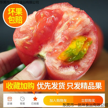 沙瓤西红柿-斤装自然熟山东非铁皮柿子水果普罗旺斯大番茄