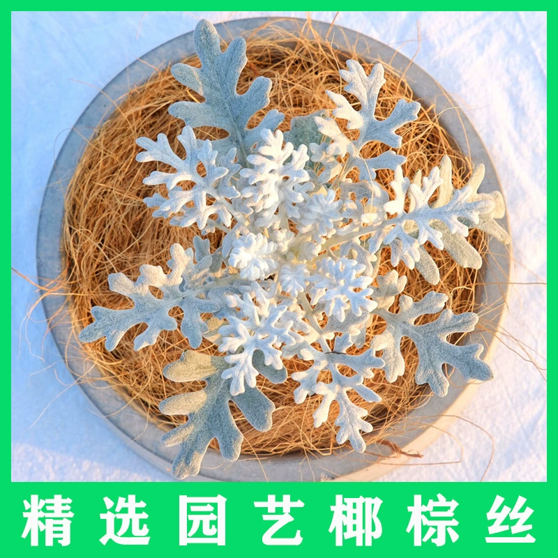 Кокосово-пальмовая шелковая плитка, керамическая плитка для цветочных горшков из кокосового шелка, декоративная гранулированная почва для горшков с каменной травой, кокосовая шелковая плитка