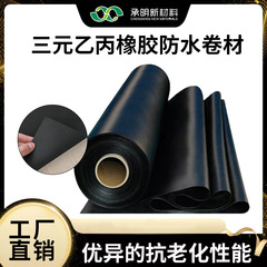 EPDM防水コイル建築屋根地下室EPDM EPDM防水コイルjl 1加硫型