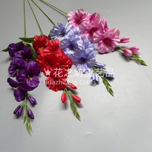 �羳8�^��֧���m ���滨�ٻ���c�b�픵��ƻ��Ƶ������������