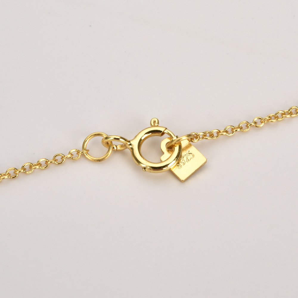 Women's Gender 925 Sterling Silver Zircon Heart Shape Pendant Necklace