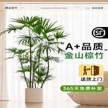 ��ɽ���������҃ȼ��~ֲ����;Gֲ�͏dС�~�������ռ�ȩ�ļ����B