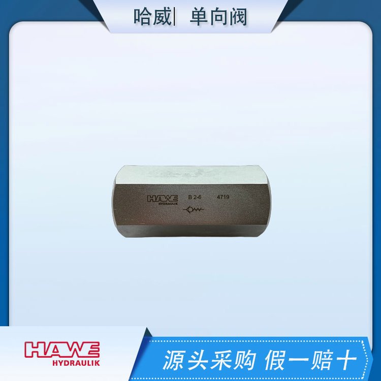 B2-6德国哈威管式单向阀HAWE进口原装有库存直通式哈维