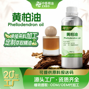 �n�g���S���Ͱ��g���㸽�ͱ�����ș�͏S�ҬF؛���yƷԭ���n�g����