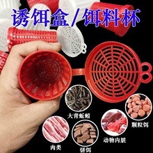 ��̖�����D�ϱ��з�\�r�\�S�X���q�D��Ͱ�T�D���D�Ϻ��r�\�T�D�\