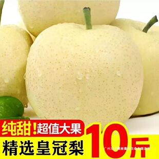 �ӱ����ڻʹ��������r10��ˮ������ѩ��Xɽ�����殔�������ؼ�