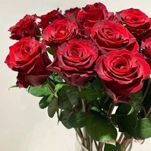 传奇玫瑰红丝绒质感轻奢红玫瑰鲜花花束斗南花市鲜花基地直发