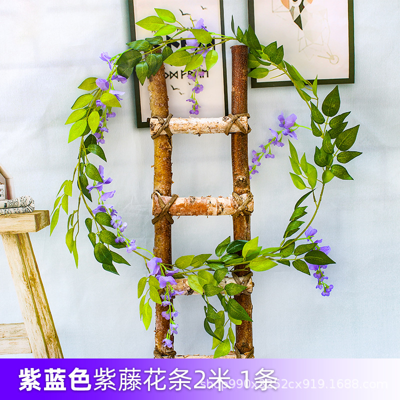 하나의 보라색 파란색 등나무