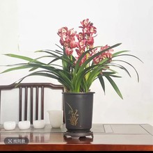 �t��ʯ ���mޥ�m�������m������B�׻��ڻ���ѿ