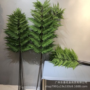 ��z��ާ�����~����ֲ��廨����Gֲާ�ݲ�˹��֦���^����b�