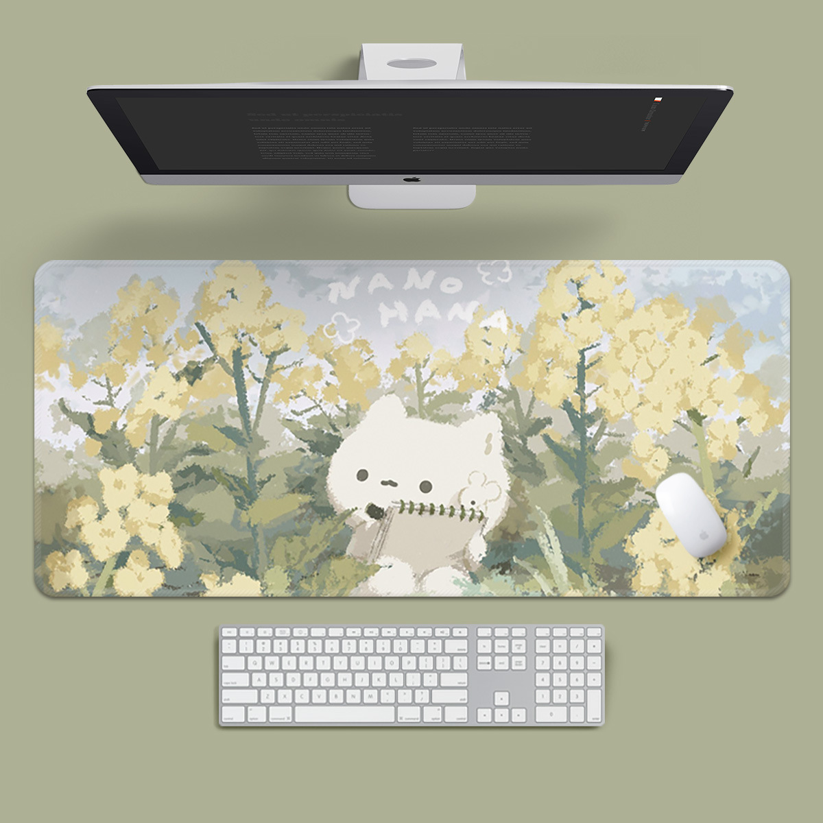 治愈猫咪-春日写实