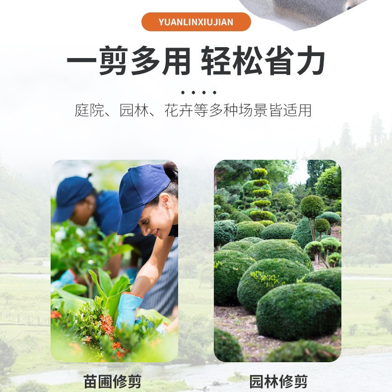 21412060467_61579330