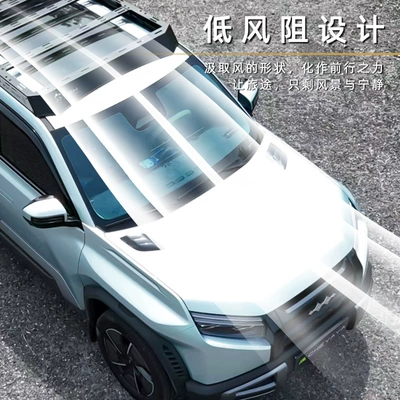 Side Ladder Side Armor — Roof rack