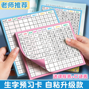 New Word Preview Card Chinese Self-Adhesive Primary School Textbook General Preview Sticker Single and Double-Sided Sticky Note Preview before Class