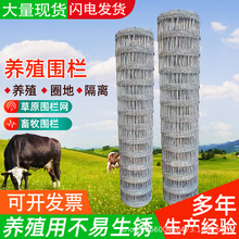 ����\���P�F�z�W�Bֳ���� Ȧţ��䓽z���@������x���o�W�����W