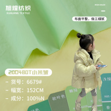 480T尼龙消光小米皱 羽绒服皮肤衣棉服平纹布料  20D尼龙防水布