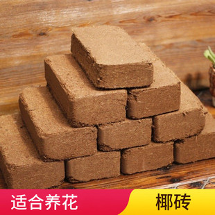 ����Ҭ�u�I�B���ЙC�B���߲˶���ֲ��sҬ�۴uҬ��������|