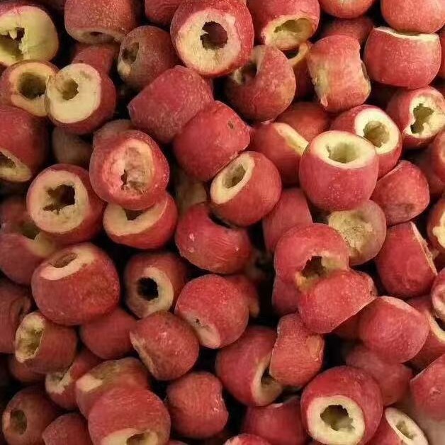 20小型果蔬冻干一体机      水果片真空冻干机      火龙果冻干机