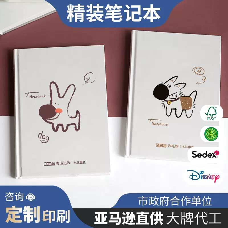 精装笔记本卡通可爱手账本可插画记录本创意硬壳记事本页面加厚