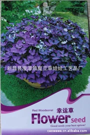 植物工艺品;栽培基质;陶瓷工艺品