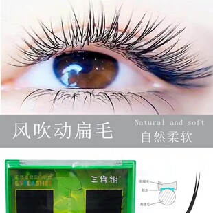 �����S�N�ۡ����Ø��L���ӿ՚���Н������w�������W�ٽ�ë