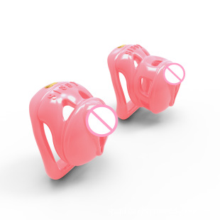 Sissy Embedded Small Lock Cylinder Transvestite Chastity Lock