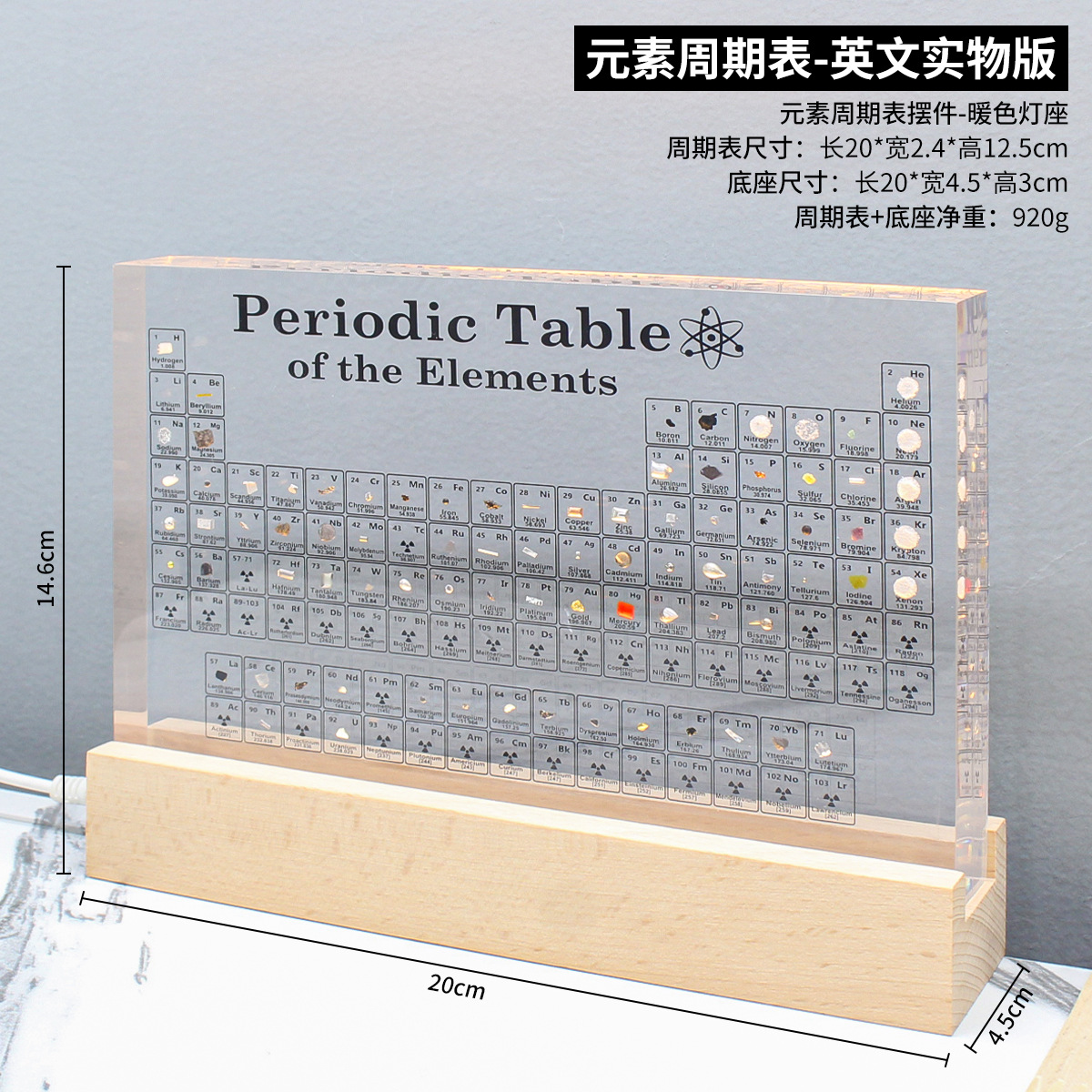 대형 [83개 요소 내장] 투명 모델 + 조명이 있는 USB 베이스