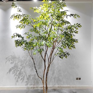 �Ҹ����Ř� ���ͷ����٘� �̈��������Ř� �҃��b�ľ ������