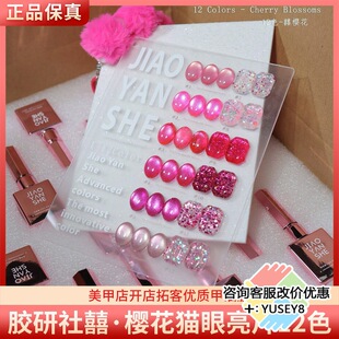 JYS�z����֙ѻ���ɫ����؈�۱��W��Ƭ12ɫõ�t�һ�ɫ���׼����z