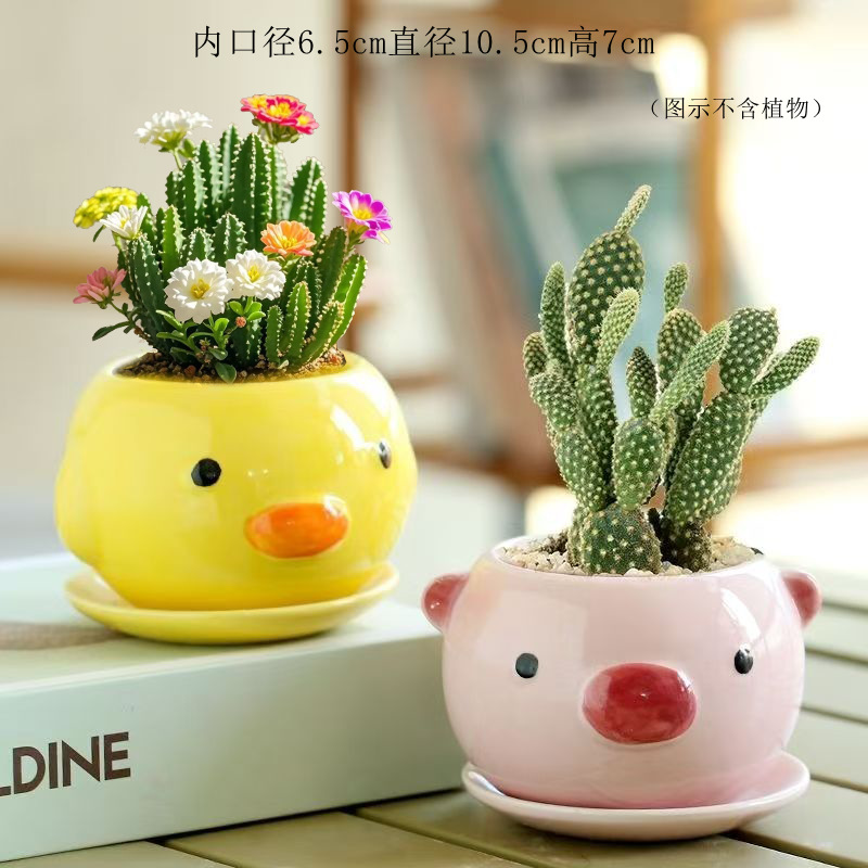 Maceta decorativa con diseño cartoon