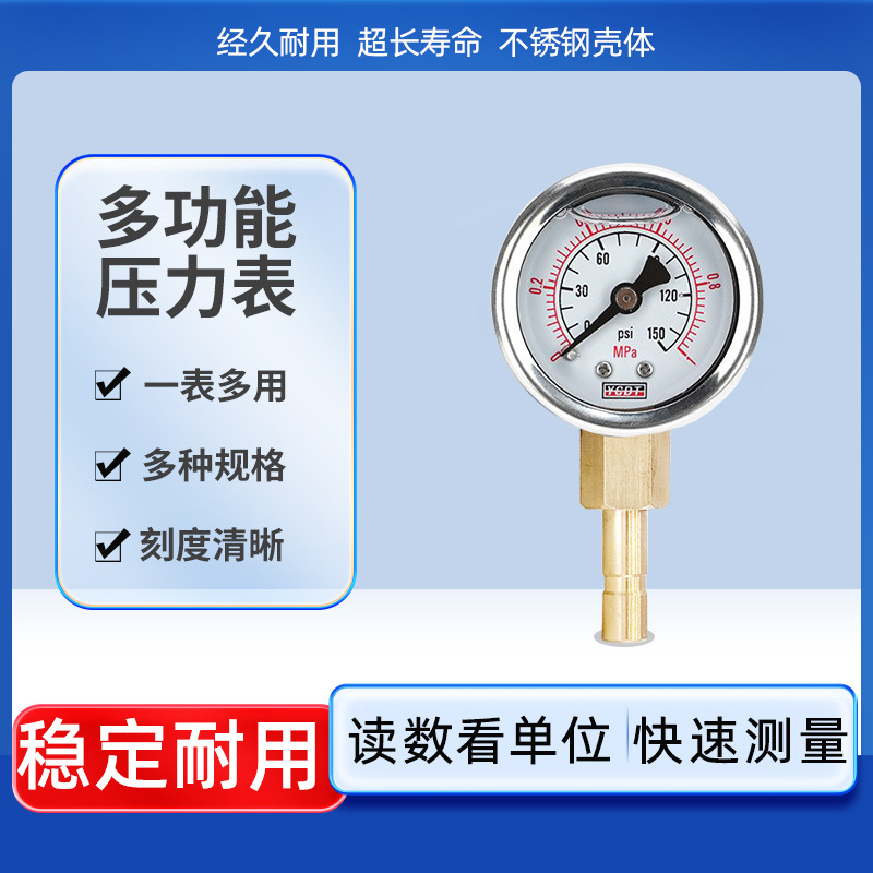 压力表家用自来水检测耐震净水器管道式打压法兰2分压力测试仪