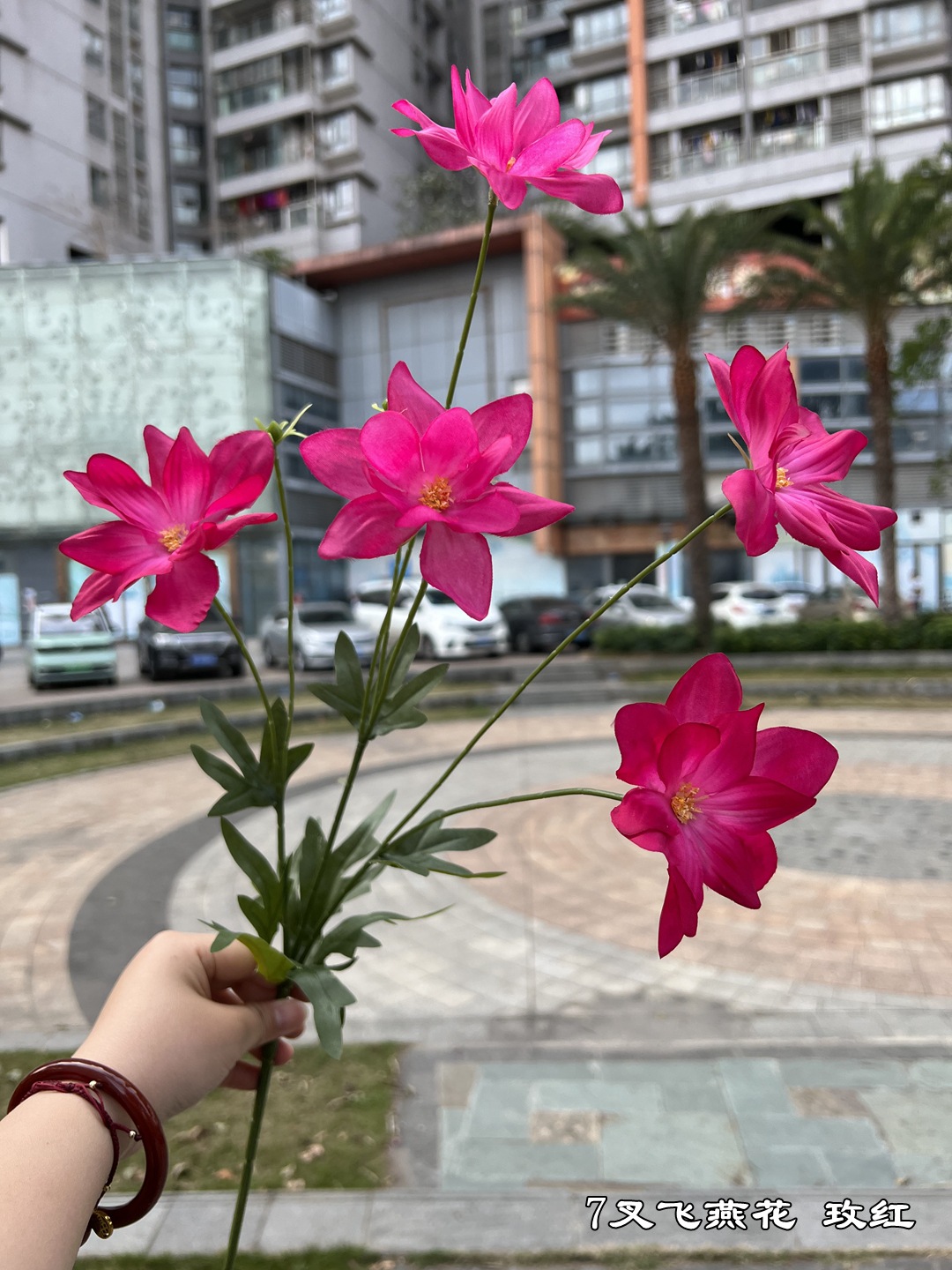 로즈 레드