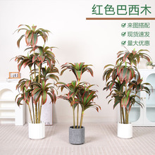 �߶��p�ݷ���tɫ����ľ��پGֲ�����҃ȿ͏d��������b[����