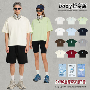 �����¿�240���ذ��������_��boxy��̌�T���д��Č������e��TŮ