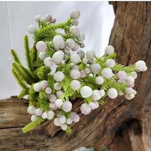 ����ɳ���� ɺ���� ������֦���� ��������Ļ��k�����滨�Y�з�