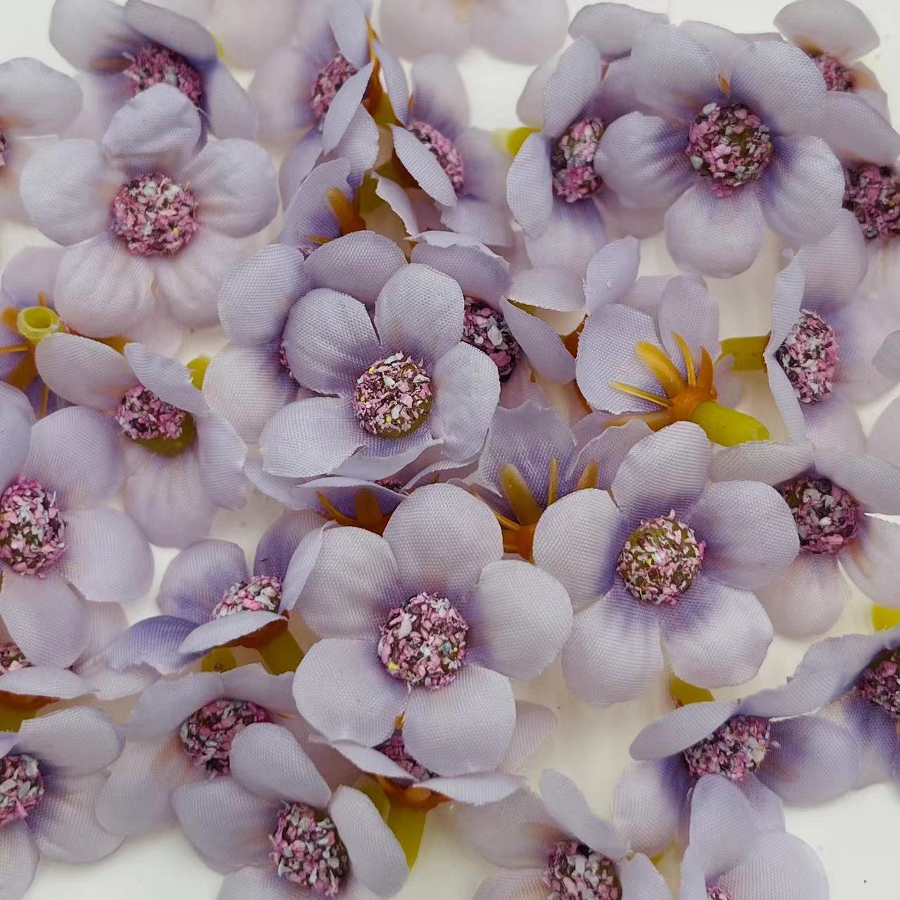 微信图片_202502271919241