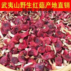 福建武夷山红菇批发野生天然红蘑菇月子菇干野生红菇红蘑碎片