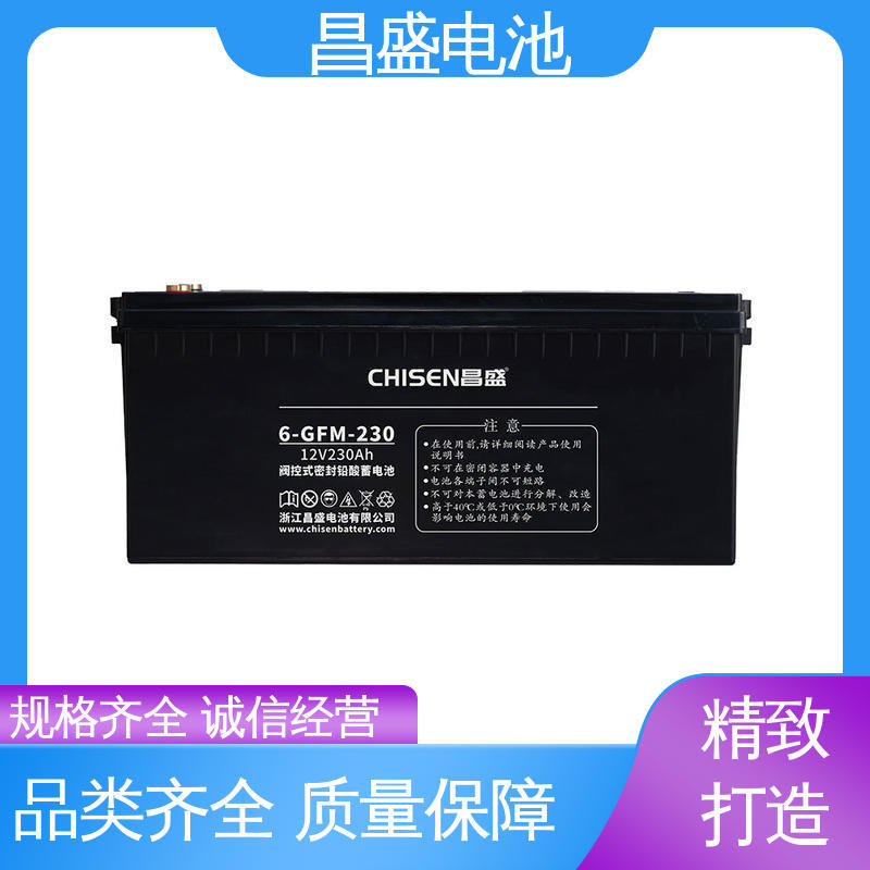 昌盛 6-GFM-230 UPS/EPS电源 通信机房设备 铅酸蓄电池 质优价廉