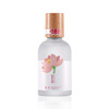 Fresh perfume suitable for men and women with a light fragrance, long lasting light fragrance, wholesale