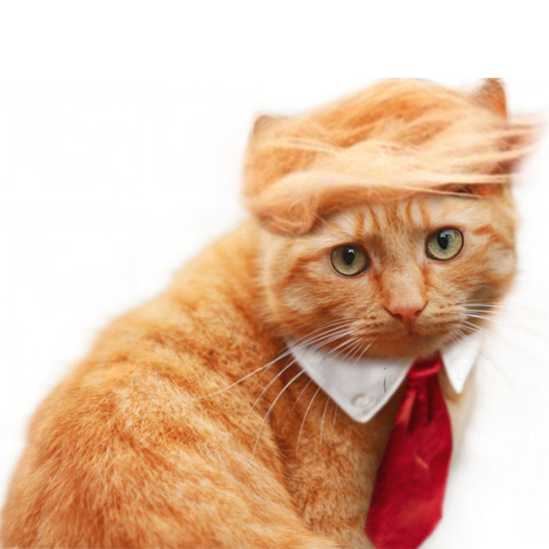 トランプスタイルクロスボーダーペットウィッグ猫かつらコスプレ犬かつら猫かつら猫帽子帽子|undefined