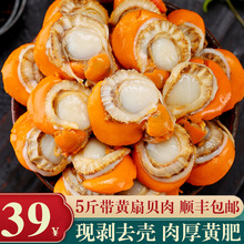 5���b��ؐ�⎧�S��̖���r�F�����ȥ��Ұ�����ط۽z��ؐ���rˮ�a