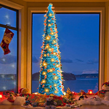 2025�羳���R�d���N�l���}�Q��ë�l����s�}�Q��1.5m�{ɫ����˘�